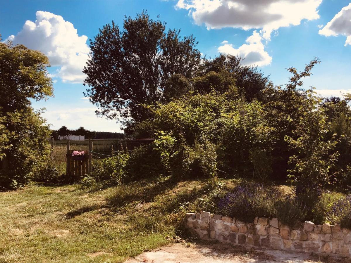 Le Chalet De La Ferme Du Tertre Villers-au-Tertre ห้อง รูปภาพ