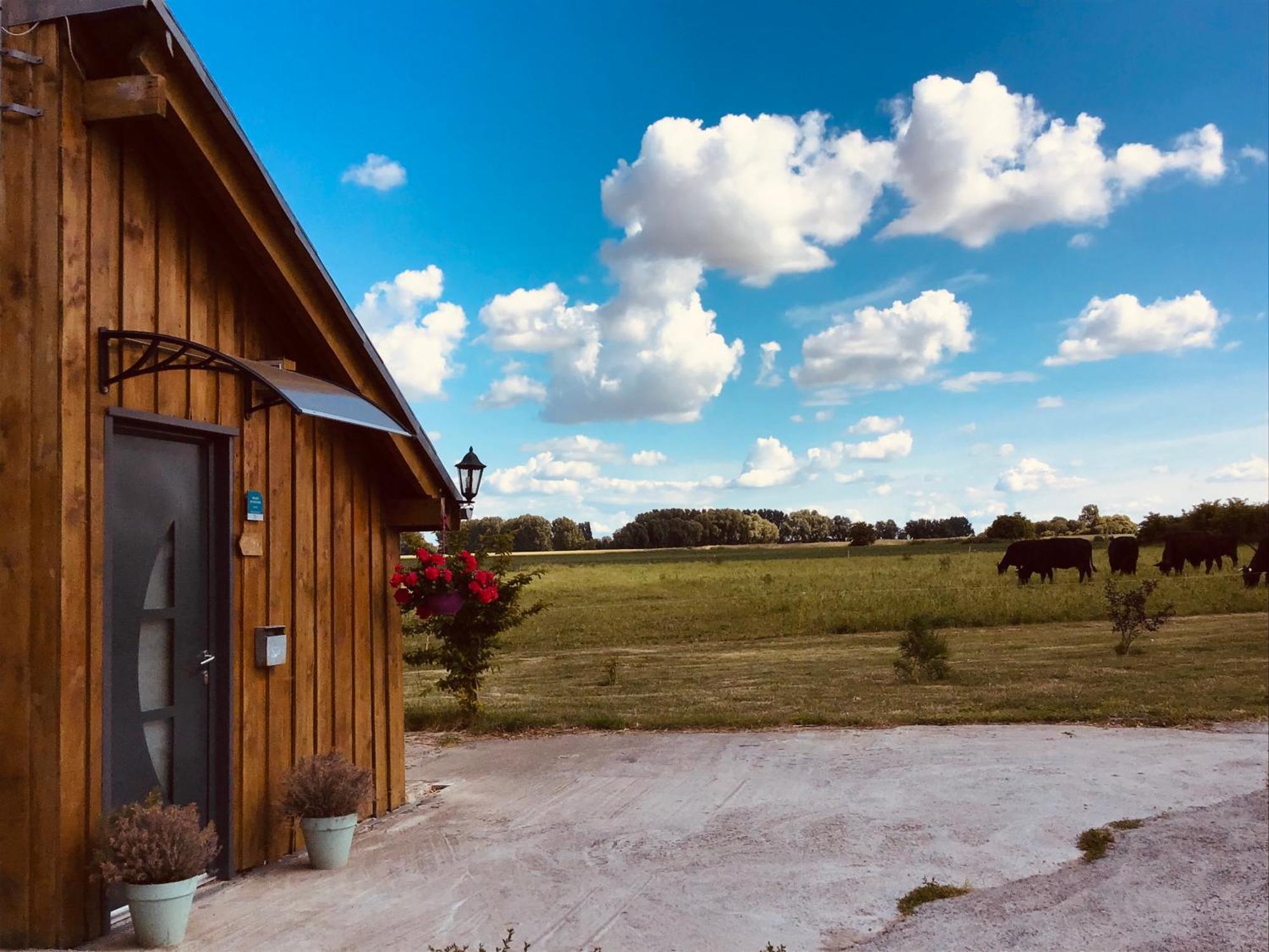 Le Chalet De La Ferme Du Tertre Villers-au-Tertre ห้อง รูปภาพ